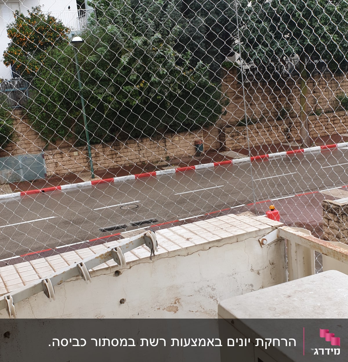 רשת מתכת למניעת כניסת יונים במרפסת